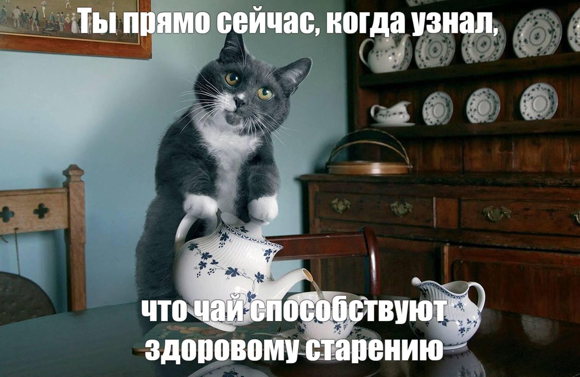 Черный чай, ягоды и яблоки способствуют здоровому старению Богатые флавоноидами продукты могут снизить риск развития слабости, нарушений подвижности, тревожности и депрессии по мере старения. Результаты исследования ученых из Австралии, Ирландии и США опубликовали в журнале The American Journal of Clinical Nutrition. Справка: Флавоноиды — это природные соединения, содержащиеся в ягодах, овощах, яблоках, цитрусовых, кофе и чае. По словам ученых, они не только способствуют долголетию, но и помогают сохранять здоровье в зрелом возрасте. В новом исследовании участвовало почти 90 тыс. человек старше 24 лет. И вот какие выводы были сделаны : 0 У женщин с самым высоким потреблением флавоноидов риск развития физической слабости был снижен на 15%, а нарушений подвижности и психических расстройств — на 12%; 0 У мужчин наблюдалась менее выраженная связь с укреплением физического здоровья, однако вероятность проблем с психикой снижалась на 15% на диете, богатой флавоноидами; 0 При этом увеличение доли продуктов с флавоноидами в рационе всего на три порции в день может снизить риски негативных последствий старения на 6-11% у женщин и на 15% у мужчин. Подписаться