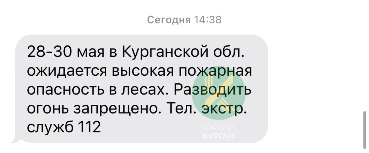 Курганцам стали приходить предупреждения о высокой пожарной опасности в лесах. Прогнозируют её на ближайшие три дня — с 28 по 30 мая. Будьте осторожны. Подпишись на «Короче, Курган»