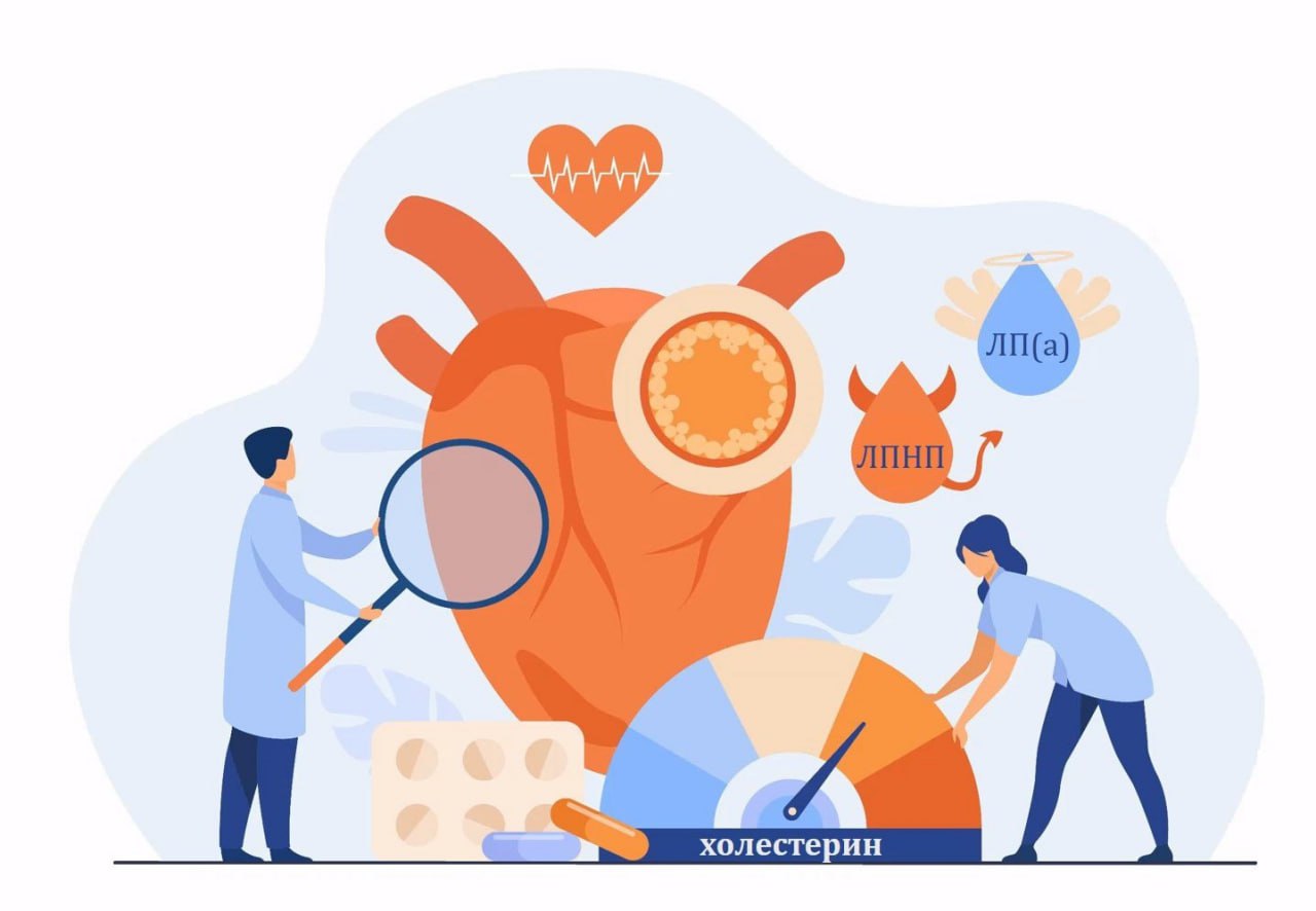 Изменения в диспансеризации и сроках ожидания медицинской помощи в 2026 году  В 2026 году впервые в диспансеризации станет доступно исследование крови для выявления рисков сердечно сосудистых заболеваний Теперь каждый гражданин в возрасте 18 40 лет может сдать анализ на липопротеин а который является индикатором повышенного риска раннего атеросклероза инфарктов и инсультов  Также в диспансеризацию с этого года включается оценка липидного профиля куда входит обследование на общий холестерин холестерин липидов высокой и низкой плотности триглицериды В возрасте от 18 до 39 лет анализ проводится один раз в шесть лет после 40 лет один раз в три года  Помимо исследований в программе госгарантий обновили сроки ожидания медицинской помощи при подозрении на сердечно сосудистое заболевание не более трех рабочих дней сроки проведения консультаций врачей специалистов не более семи рабочих дней сроки проведения диагностических инструментальных и лабораторных исследований со дня их назначения семь рабочих дней ожидание оказания специализированной за исключением высокотехнологичной медицинской помощи для пациентов с сердечно сосудистыми заболеваниями со дня установления предварительного диагноза Присоединяйтесь к нам в MAX