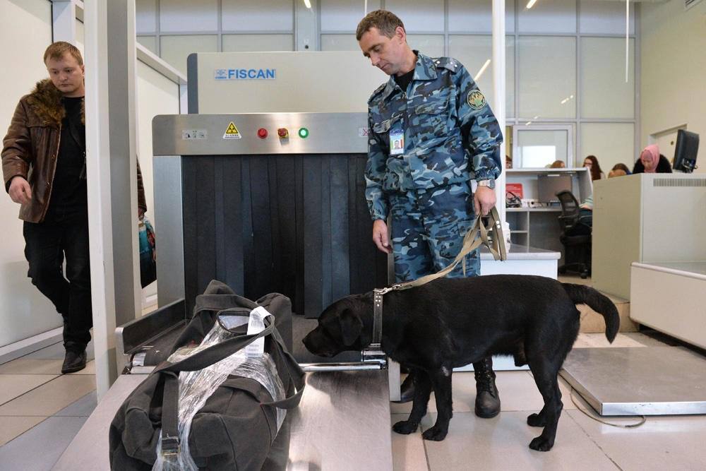 50 патронов нашли у подростка в аэропорту Хабаровска Инцидент произошел в декабре 2025 года Сотрудники заметили в чемодане кучу металлических предметов это и были спортивно охотничьи патроны Багаж принадлежал подростку он не смог объяснить находку 47 летний отец молодого человека рассказал что нашёл патроны ещё в 2024 году на работе и решил забрать их домой Патроны случайно оказались в чемодане который мужчина дал сыну в дорогу Несмотря на отсутствие злого умысла незаконное хранение боеприпасов уголовное преступления Материалы дела переданы в суд для принятия окончательного решения Прислать новость yaroslav egorovich Подписывайся на нас в MAX