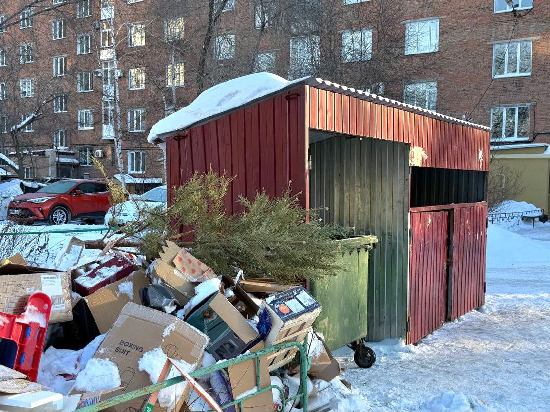Омичи начали убирать новогодние деревья Новый год и Рождество прошли и мы заметили первые выброшенные живые ели и сосны А когда вы планируете прощаться с хвойной красавицей Ждете старого Нового года или может быть весны Напомним что оставлять деревья можно только рядом с мусорными контейнерами но не внутри Фото omsk putevoditel