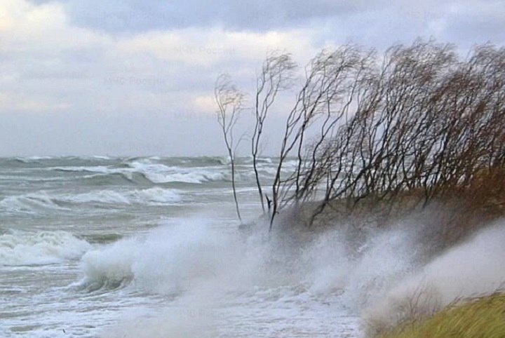 На Кубани усилится ветер местами до 29 м с МСЧ региона выпустило экстренное предупреждение С 15 до 16 февраля на Кубани будет очень ветрено в отдельных районах 20 25 м с в горах Сочи и на Черноморском побережье 24 29 м с В Краснодаре утром и днем в понедельник ожидается южный ветер с порывами до 18 м с Подписаться на kpkuban Читать нас в MAX