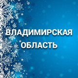 Аватар Телеграм канала: Правительство Владимирской области