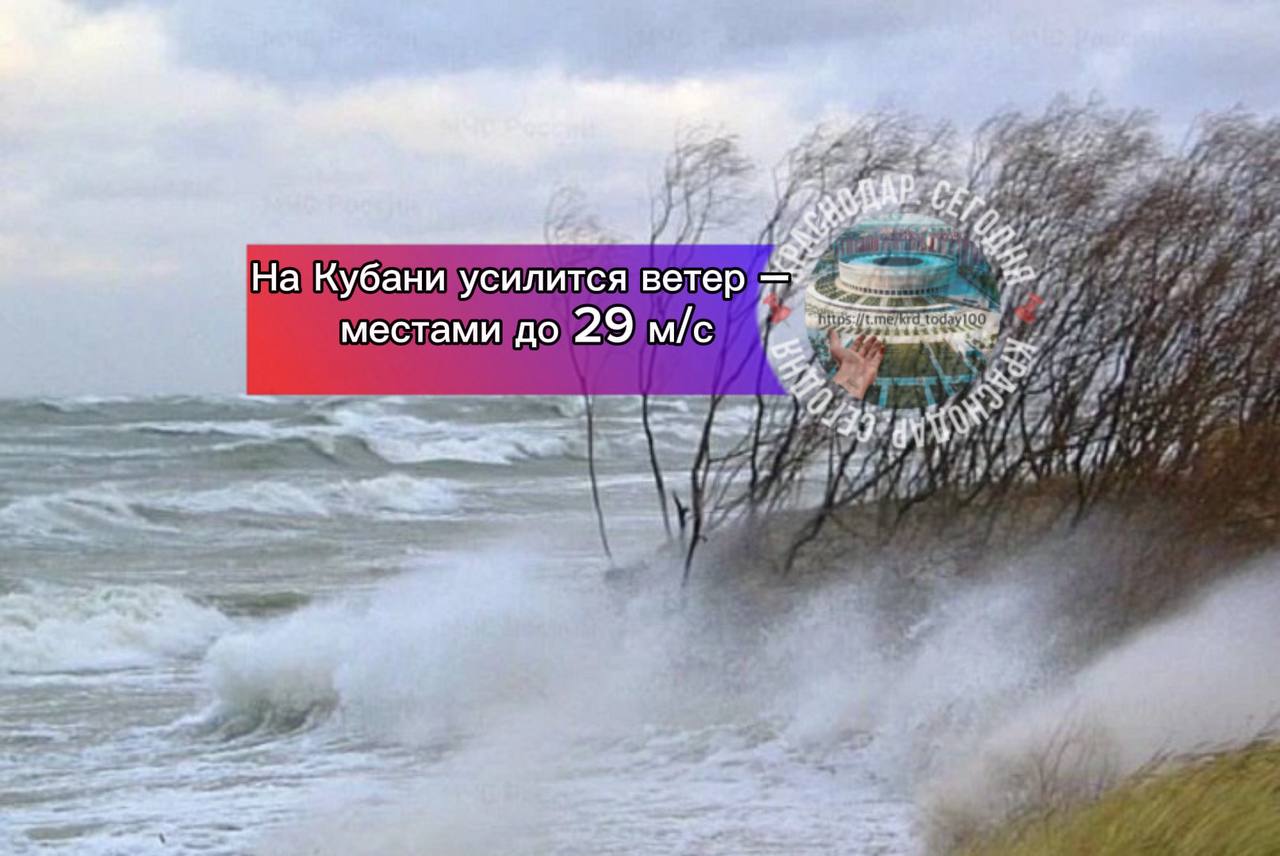 На Кубани усилится ветер местами до 29 м с МСЧ региона выпустило экстренное предупреждение С 15 до 16 февраля на Кубани будет очень ветрено в отдельных районах 20 25 м с в горах Сочи и на Черноморском побережье 24 29 м с В Краснодаре утром и днем в понедельник ожидается южный ветер с порывами до 18 м с Краснодар Сегодня Телеграм замедляют оставайтесь на связи с нами в MAX max ru krd 00