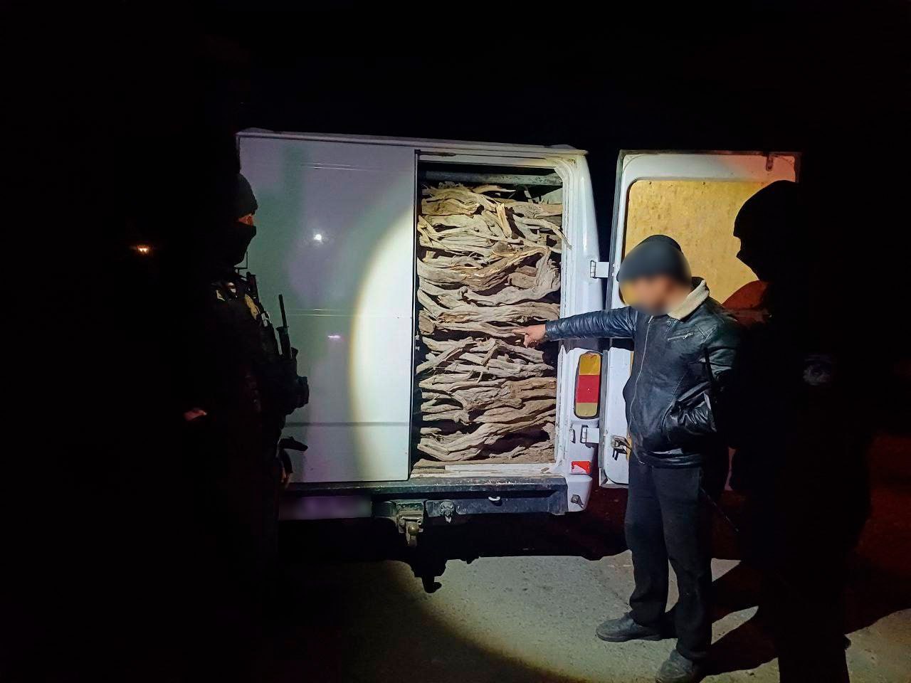 В Каракалпакстане сотрудники Нацгвардии поймали гражданина который незаконно вырубил краснокнижное растение Саксаул мужчина получил штраф в 10 3 млн сумов и еще 576 тыс сумов за ущерб природе