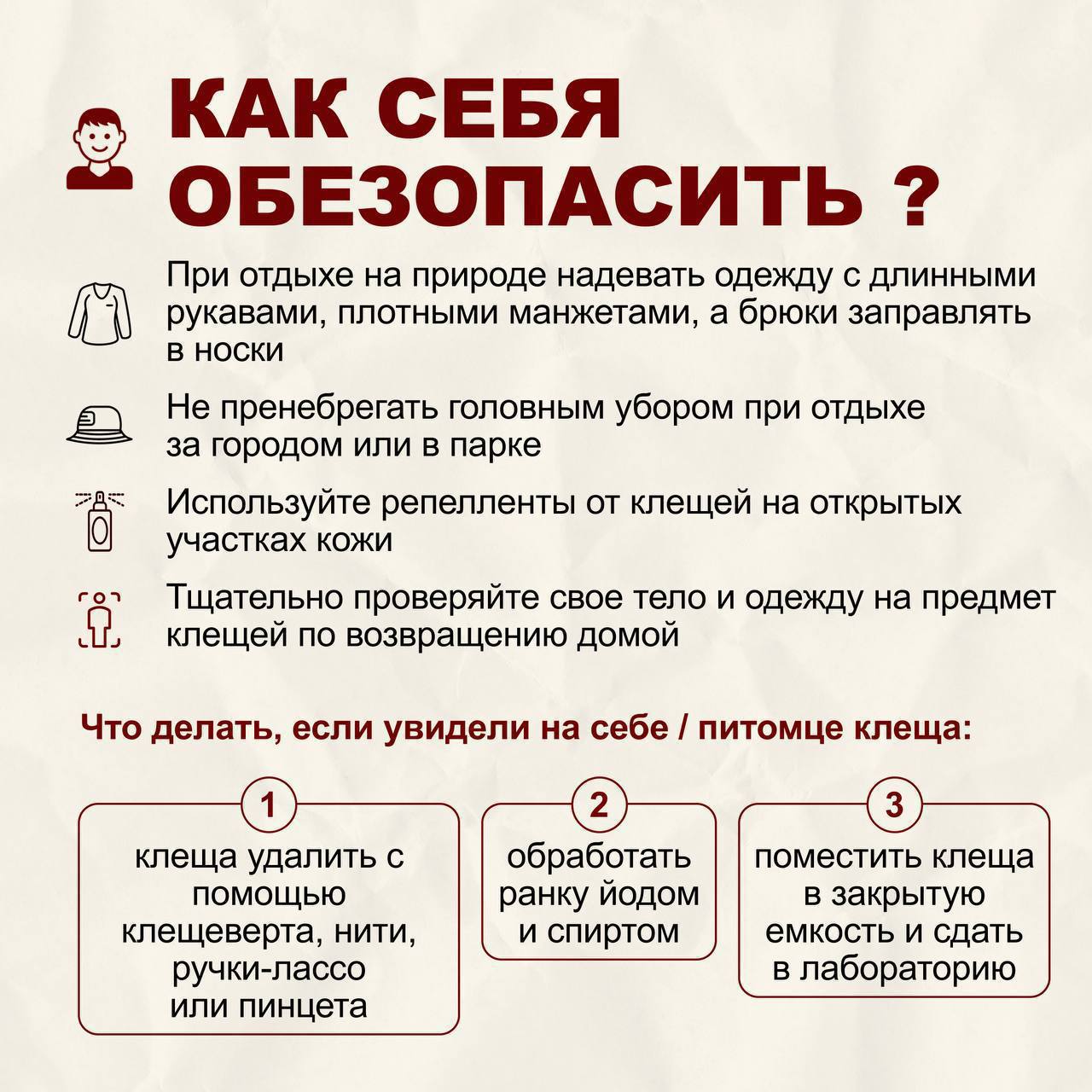 Новая волна клещей началась в Москве Они плохо переносят жару зато осенняя прохлада и высокая влажность создают для их жизни комфортные условия Паразиты будут активны до первых устойчивых заморозков