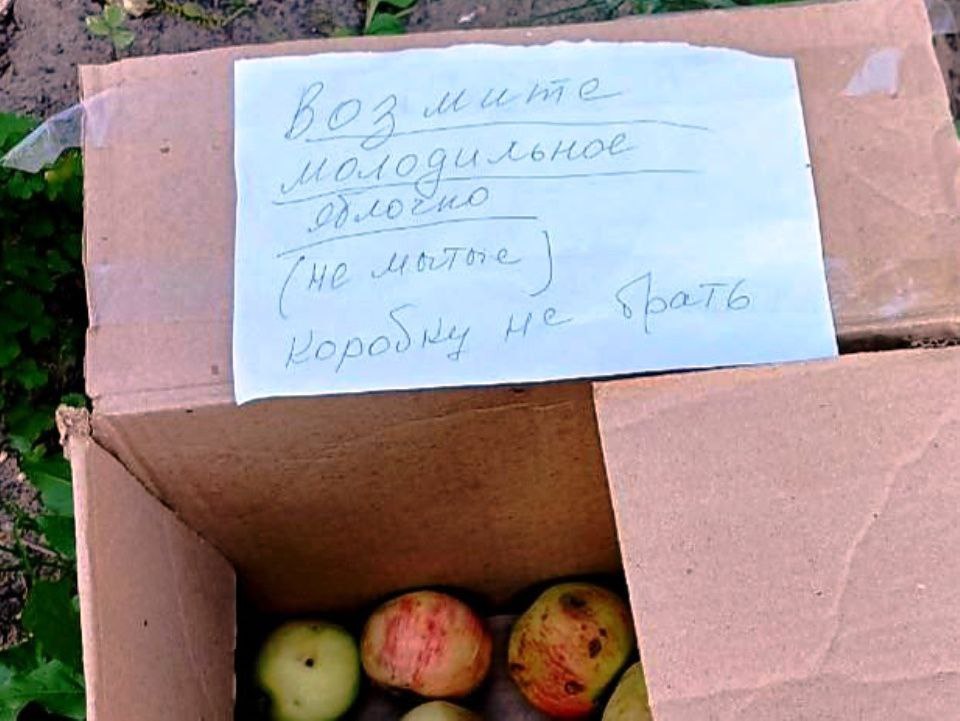 Фудшеррингом начали заниматься жители на улицах подмосковной Каширы От спелых плодов местами клонятся к земле ветки деревьев Избытками яблок каширяне решили делиться с прохожими Прямо посреди улицы Советской где сейчас проводится благоустройство жители выставили коробку с раздачей фруктов На момент фото яблоки в коробке были почти разобраны а в записке щедрые дарители просили лишь оставить тару А вы бы взяли