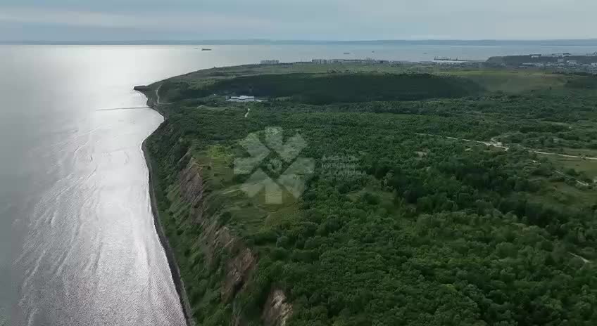 Хабаровский край и Сахалин внедряют дронов для улучшения лесного хозяйства