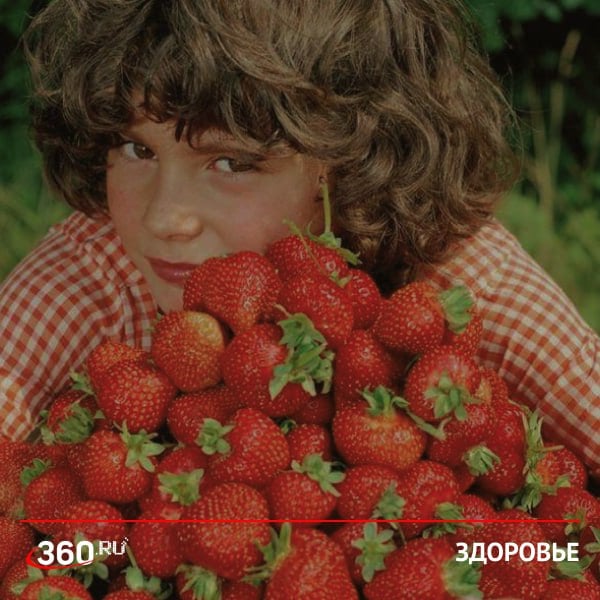 Не больше 10 кг клубники в сезон. Специалисты назвали идеальное количество ягод, которые можно употребить без вреда для здоровья. Врачи рекомендуют съесть 10 кг красной ягоды в сезон, который длится с конца мая в южных регионах и до осени. В клубнике может содержаться от 50 до 100 миллиграммов витамина С на 100 граммов продукта. Особенно ягода полезна для людей с проблемами зрения. Кроме того, потребление клубники повышает общую антиоксидантную защиту организма и улучшает память. — ждем наступление сезона!