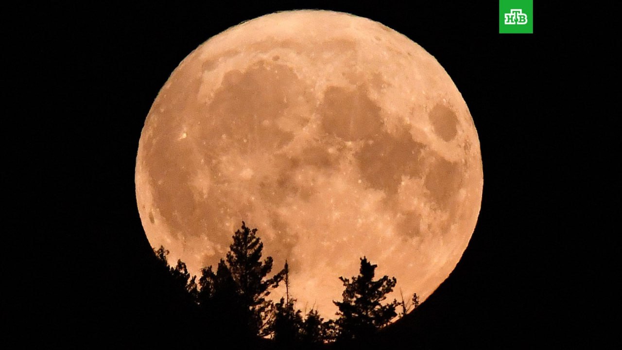 Холодная Луна украсит небосвод в ночь на 4 декабря Это будет последние полнолуние в этом году Оно станет вторым по величине Подписаться на НТВ Петербург Буст канала