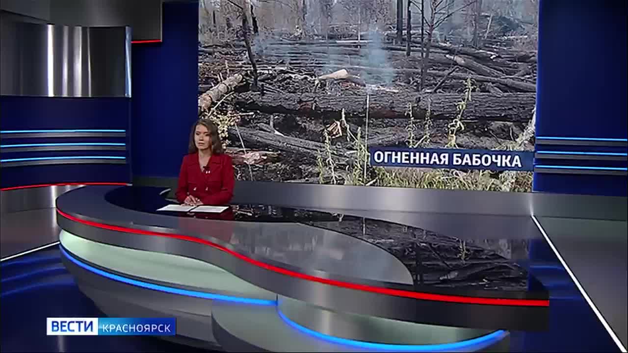 Пожар в Ялтинском горно-лесном заповеднике: борьба с огнем продолжается