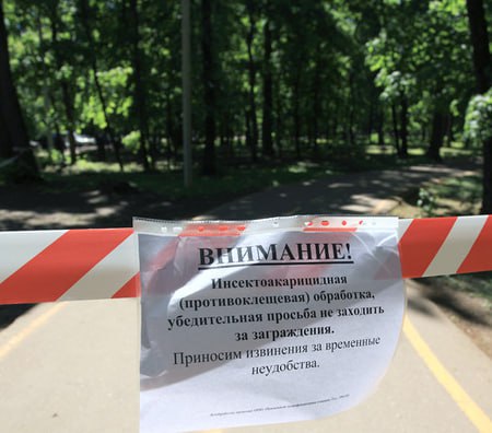 Олимпийскую аллею в Пензе закроют Ее будут обрабатывать от клещей с 22 по 24 апреля. Пензенцы смогут вернуться на Олимпийскую аллею для прогулок с 9 утра 25 апреля. Поделиться с нами новостью Подписаться