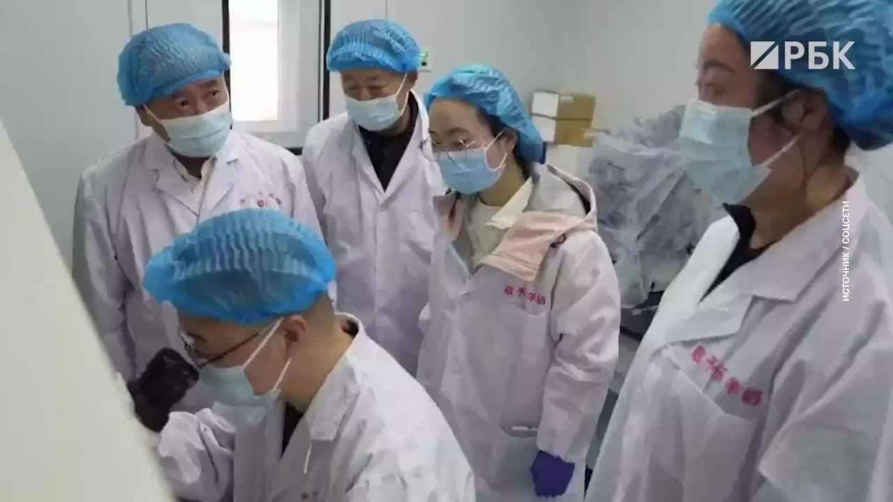 Китайские ученые впервые осуществили серийное клонирование альпийских коз
