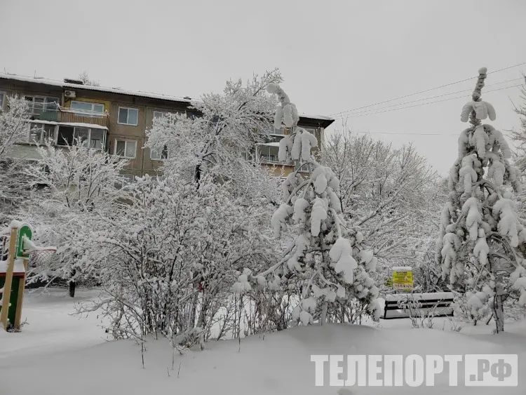 Площадки для складирования снега назвали благовещенцам  В Благовещенске определили места для временного складирования снега. Площадками могут пользоваться управляющие компании, предприятия и жители, которые убирают город от снега и из-за непростой дорожной обстановки не могут вывезти его на полигон отходов.  Снег можно оставить на следующих площадках: старое Новотроицкое шоссе - Гражданская, Новотроицкое шоссе  территория вдоль "Венеции" , старое Новотроицкое шоссе - Кольцевая, Нагорная  через дорогу от компании "31 Блок", Нагорная, 43 .   Продолжение