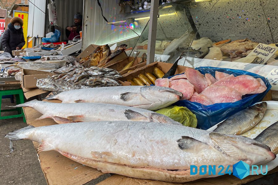 В Азовском море зафиксировали исторический минимум рыбы Ученые Южного научного центра ЮНЦ РАН зафиксировали исторический минимум запасов всех проходных и полупроходных рыб в Азовском море сообщает пресс служба центра Соответствующее исследование опубликовали в журнале Природа По словам биологов на грани исчезновения находятся не только осетровые но и судак лещ и чехонь Резкое снижение наблюдается также среди популяций промысловых сазана тарани и рыбца К причинам относят в том числе активную застройку в Азове и Ростове Почти половина нерестового фонда поймы Дона стала индустриальной зоной Также маловодье реки Дон влечет за собой долгосрочные последствия Обмеление судоходного канала рукавов и проток донской дельты вызывает тяжелые последствия для рыбного хозяйства судоходства и забора питьевой воды для городов Приазовья пишет источник В год донской регион теряет несколько десятков кубокилометров пресной речной воды что ведет к особенно стремительному перемещению воды из Черного моря в дельту Дона Что предлагают делать для решения проблемы читайте на сайте ИА ДОН 24 Отправить новость