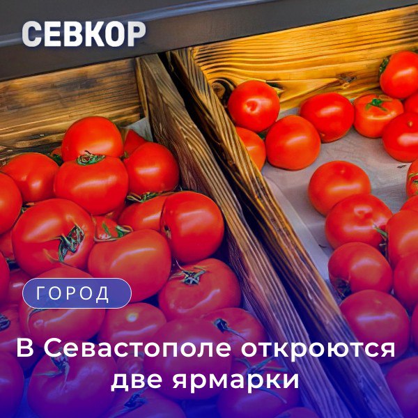 Ко Дню России и Дню города в Севастополе с 5 по 7 июня будет работать ярмарка «Севастопольская» на площади 50-летия СССР,  где представят широкий ассортимент овощей, фруктов, ягод, мясной, колбасной, рыбной, молочной продукции, а также саженцы растений.  Кроме местных продуктов, товары привезут фермеры из Херсонской и Запорожской областей, Крыма и Краснодарского края.  С 12 по 15 июня на смотровой площадке между Дворцом детского и юношеского творчества и Севастопольским аквариумом будет работать тематическая «Ремесленная» ярмарка, где можно будет приобрести изделия народно-художественных промыслов и поучаствовать в различных мастер-классах.   Читайте Севкор