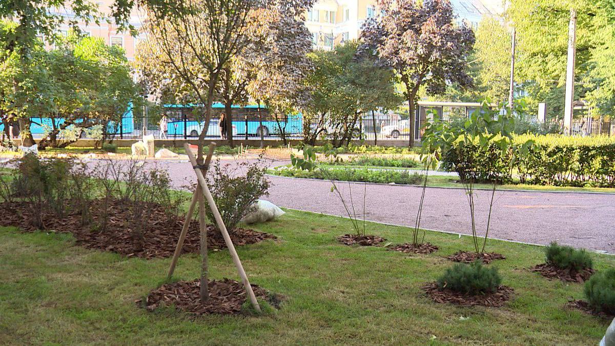 В Санкт Петербурге завершается благоустройство сквера Галины Старовойтовой Завершается благоустройство сквера Галины Старовойтовой расположенного на пересечении Суворовского проспекта и улицы Моисеенко Главные задачи которые были поставленные при разработке проекта сделать сквер комфортным местом для отдыха Специалисты заменили плиточное покрытие и бортовой камень памятника привели в порядок набивные дорожки высадили порядка тысячи новых неприхотливых и устойчивых к городской среде растений Добавили и вечнозеленые хвойные кустарники Впереди установка новой уличной мебели Благоустройство сквера проводится в рамках программы Формирование комфортной городской среды