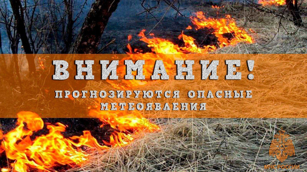 В период с 22 по 29 июля 2025 года местами по Нижегородской области ожидается высокая 4 класс пожароопасность лесов и торфяников. МЧС России напоминает: Не жгите мусор на своих садовых и дачных участках. Не сжигайте мусор вблизи леса и лесных насаждений. Не разводите костры в лесах. Не курите, не бросайте горящие спички, окурки. Не оставляйте на освещенной солнцем лесной поляне бутылки, осколки стекла, другой мусор.