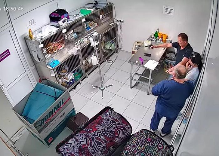 В Челябинске задержали угрожавшего ветеринару мужчину с пистолетом Сотрудники полиции задержали мужчину, ворвавшегося с похожим на пистолет предметом в ветеринарную клинику в Советском районе Челябинска. Угрожая медикам, он требовал немедленно показать оставленную на лечение собаку. Инцидент произошел около 19 часов 16 июля и попал на камеры видеонаблюдения ветеринарного центра. На записи видно, как во время разговора врача с клиенткой в приемную входит мужчина. Он тут же начинает угрожать ветеринару пистолетом, несвязно требуя показать свою собаку. Женщина — по-видимому, его жена — при этом уверяет, что дебошир не опасен. Убедившись, что с питомцем всё в порядке, пьяный посетитель уходит, перед этим пожимая руку врачу. Впрочем, вызов в МВД от его коллег всё же поступил. Прибывшие на место полицейские оперативно задержали 48-летнего пьяного челябинца и изъяли у него пневматический пистолет. Голосовать за канал