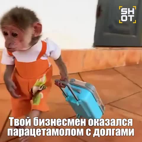 В Госдуме предложили внедрить систему 'Брак без сюрпризов' для проверки судимостей и долгов