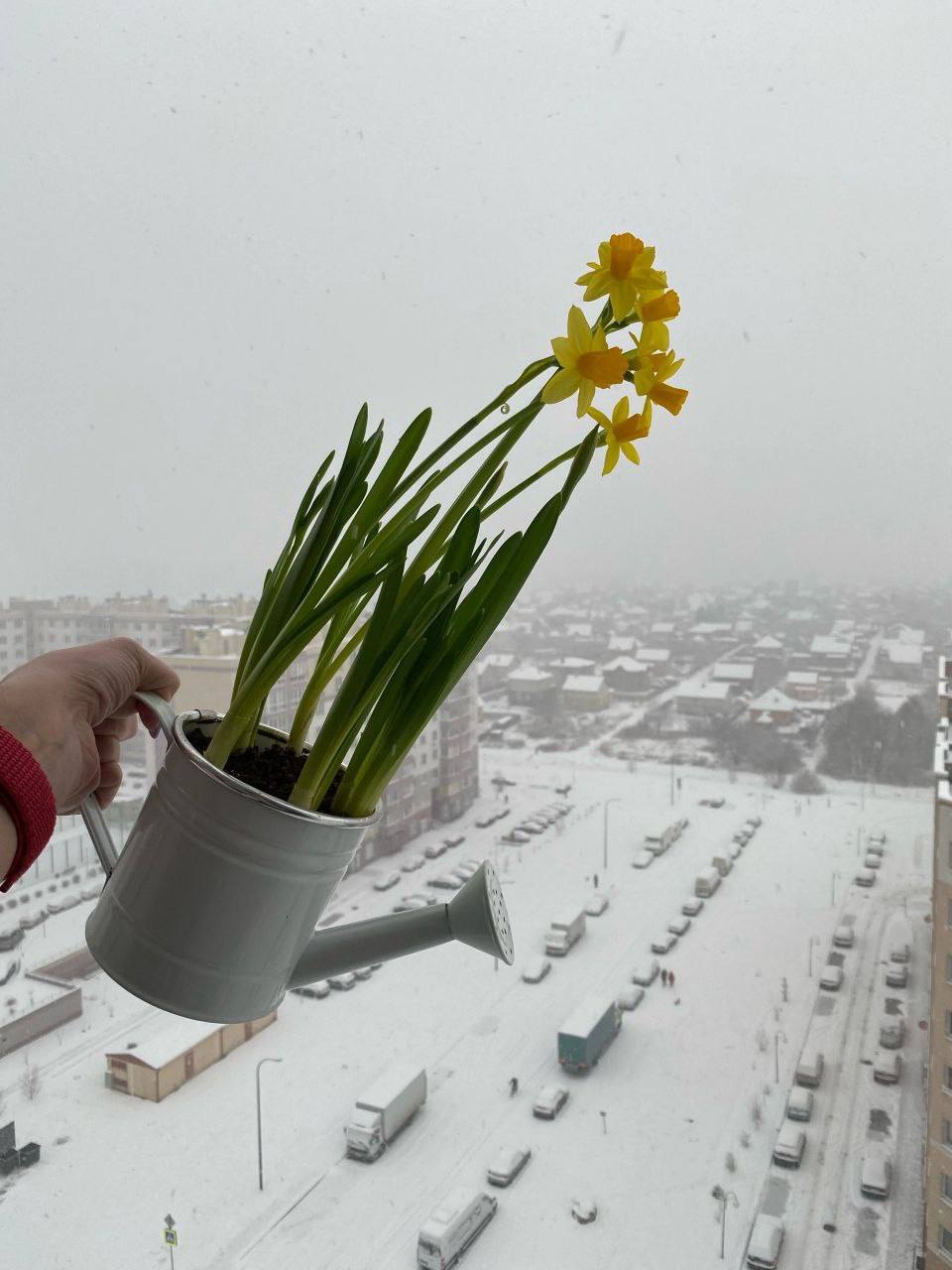 Калининградскую область вновь накрыл снегопад.  На западе региона уже фиксируют около 5-10 см снежного покрова.  Фото: «Погода и метеоявления Калининградской области»    Подписаться   Прислать новости