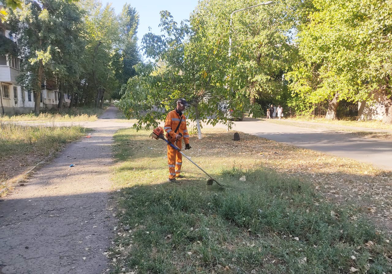 Продолжаются работы по покосу травы на улицах города Молодогвардейска   Муниципальное унитарное предприятие «Дорожно-эксплуатационное управление» активно продолжает работы по улучшению городских территорий в городе Молодогвардейске.    С начала текущей недели рабочие провели покос на территории площадью более 5500 квадратных метров, что существенно преобразило облик городских улиц. Основные работы проводились на улицах Осьмухина и Литвинова.  «Останавливаться на достигнутом не будем и продолжим работы по благоустройству, в частности по покосу травы и в других районах города», - отметила начальник управления по жизнеобеспечению г. Молодогвардейск, с. Самсоновка Ирина Михайлева.