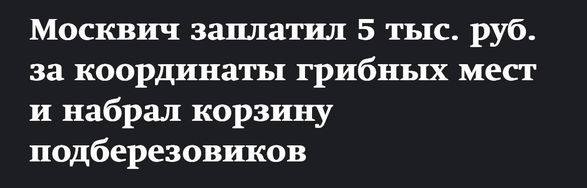 Россияне придумали новый бизнес продают координаты грибных мест За одну GPS точку с белыми груздями или лисичками просят от 5 до 15 тыс рублей Особенно активно услугой пользуются москвичи и по словам покупателей примерно в 70 случаев точки действительно приносят урожай DigitalBublik