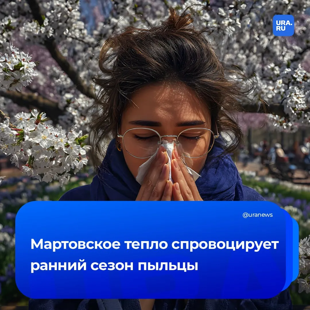 Тяжелый сезон поллиноза ждет аллергиков этой весной Вторая половина марта побила температурный рекорд вызвав раннее пробуждение растений Сроки цветения сдвинулись и наслоились друг на друга поэтому периоды высокой концентрации пыльцы нескольких видов совпадут рассказал URA RU ученый Пермского Политеха Солодников Ситуацию усугубляет повышение концентрации углекислого газа в атмосфере Оно подкармливает растения из за чего они производят больше пыльцы в которой увеличивается содержание аллергенных белков В первую очередь люди столкнутся с цветением ольхи орешника вербы и березы Подготовку к сезону стоит начинать минимум за две недели до предполагаемого оживления растений аллергенов Подробнее о том как обезопасить себя в материале на нашем сайте Подписаться на URA RU мы в MAX