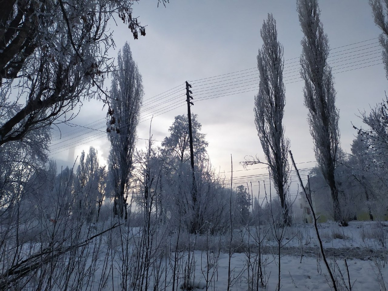 В Курской области 24 января прогнозируют снег и до -6 градусов  В следующие сутки синоптики прогнозируют в регионе осадки, но малообильные, - снег в сочетании с мокрым снегом. Будет облачно с прояснениями.  Температура воздуха ночью составит от 1 до 6 градусов мороза, днём – от 3 мороза до 2 тепла.  Ветер ожидается юго-восточный со скоростью 5-10 м/с.  Курская Telega / Прислать новость