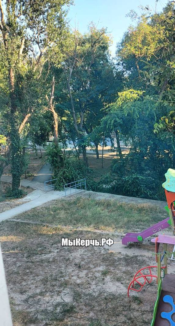 Поломанные ветки и аварийное дерево мешают керчанам Читатели МыКерчь РФ пожаловались что на муниципальной земле возле детской площадки стоит сухое дерево которое уже год как обещают спилить На ул Энгельса 11 от ветра обломились ветки с аварийного дерева и перегородили проход Ствол дерева давно стоит сухой Администрацию города просили его спилить еще в прошлом году пожаловались керчане seanewskerch