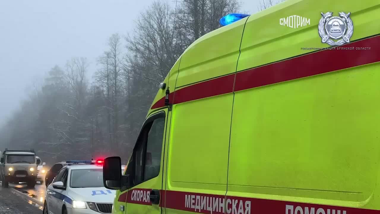 ДТП с школьным автобусом в Брянской области: более 20 пострадавших