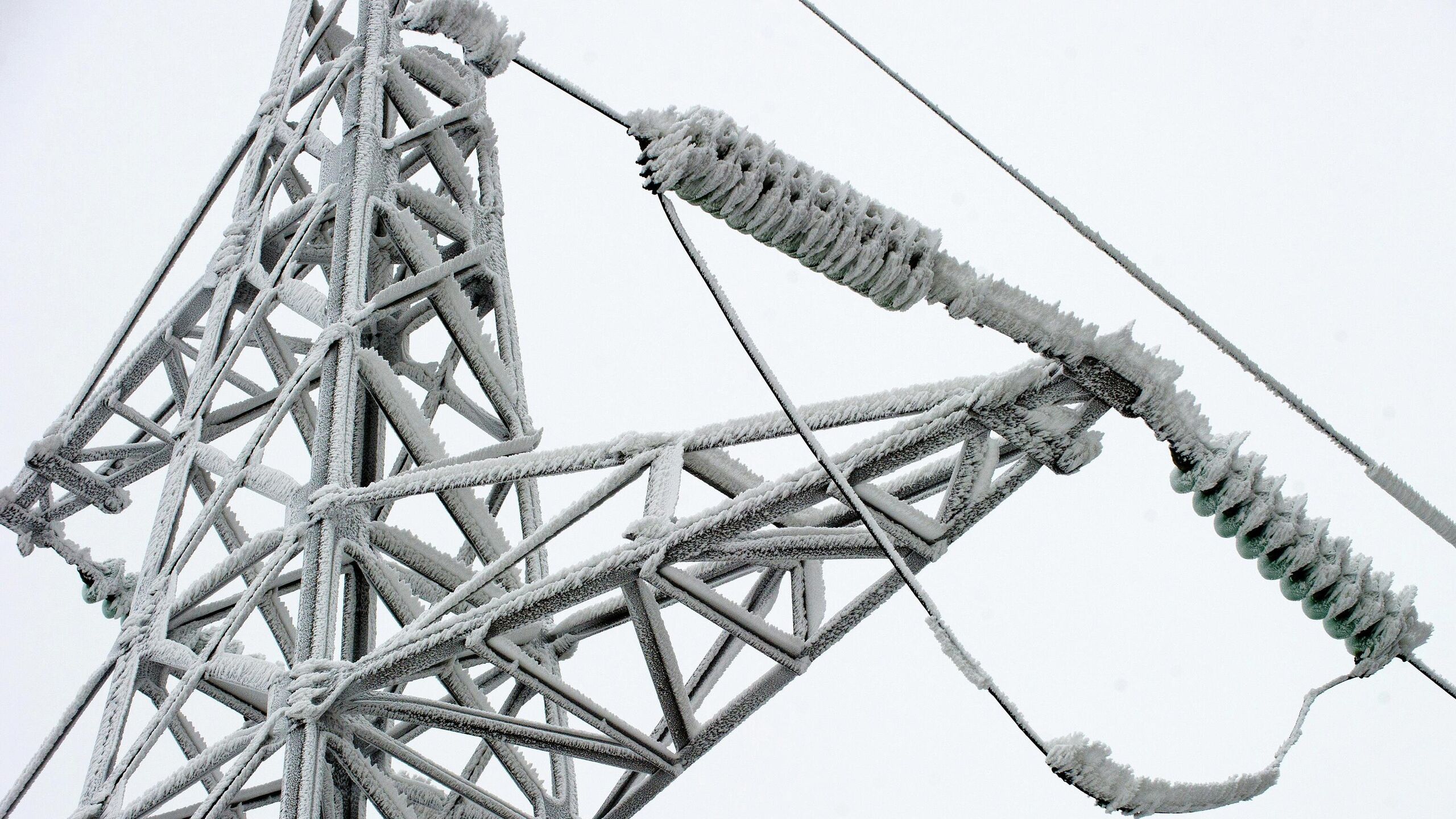 Все социальные объекты в подмосковном Раменском подключены к электроснабжению проводится запуск электроэнергии в жилые дома сообщили РИА Новости в министерстве энергетики Московской области Электроснабжение по постоянной схеме будет подано в 22 30 на данный момент все соцобъекты подключены к электроснабжению ведётся запуск электроэнергии в жилые дома рассказали в пресс службе ведомства