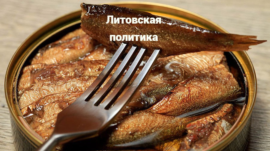 У премьера-взяточника есть две недели на оправдание  В Литве крупный скандал – второе лицо страны Гинтаутас Палуцкас пойман на кумовстве.  Премьер-министр шпротной республики осваивал деньги от ЕС в своих интересах: его родственница получила льготный кредит, а потом стала закупать товары у фирмы самого чиновника. Расследование уже началось – спецслужба установит обстоятельства использования кредита распила бюджета Евросоюза.  Президент Литвы Гитанас Науседа делает вид, что не при делах – дал премьеру две недели на чистосердечное. Палуцкас уходить с кресла не хочет – уверяет, что невиновен.  В Прибалтике даже политические скандалы скучные.  Подпишитесь на «Абзац»   Добавьте «Абзац» в ленту «Дзена»