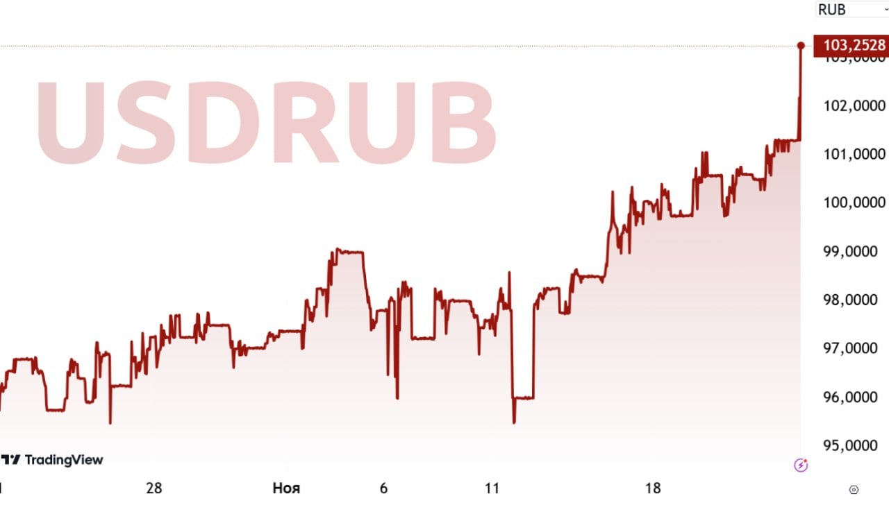 Доллар взлетел до 103 рублей на Forex