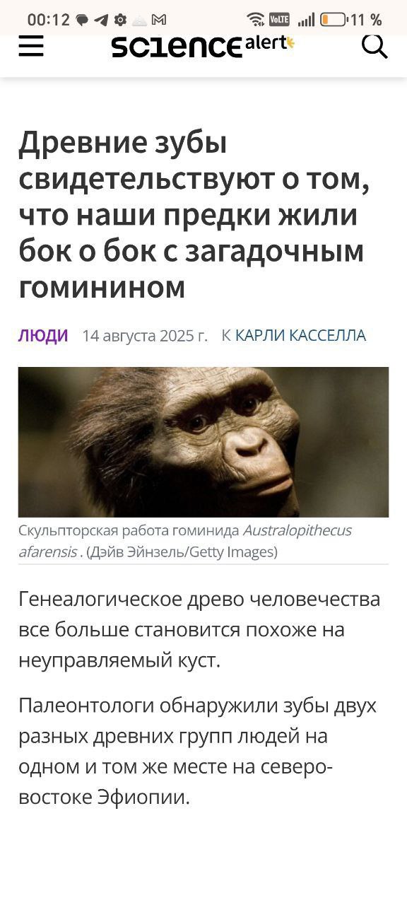 Исследователи, работающие в Эфиопии, обнаружили останки ранее неизвестной ветви человечества.  Ископаемые, включая зубы, датируемые от 2,8 до 2,6 миллионов лет назад, принадлежат ранее неизвестному представителю рода Australopithecus.