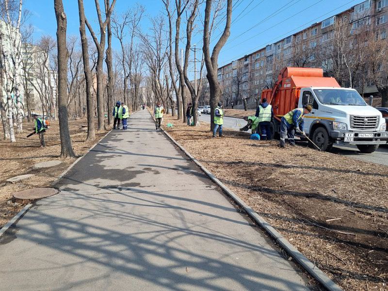 Дорожники и озеленители Владивостока комплексно подходят к наведению порядка на улицах Владивостока.     Санитарная обрезка деревьев и кустарников, очистка зеленых зон от старой листвы и травы, наведение порядка на косогорах, очистка от пыли и грязи тротуаров и проезжей части, приведение в порядок технических средств организации дорожного движения – эти и другие работы каждый день проводят муниципальные предприятия «Зелёный Владивосток» и «Содержание городских территорий». Как сообщают в мэрии, весенняя уборка продолжается во всех районах города.     А с 1 апреля во Владивостоке стартует традиционный санитарный двухмесячник.