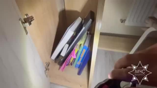 Спасатели освободили летучую мышь, застрявшую в радиаторе уфимской квартиры