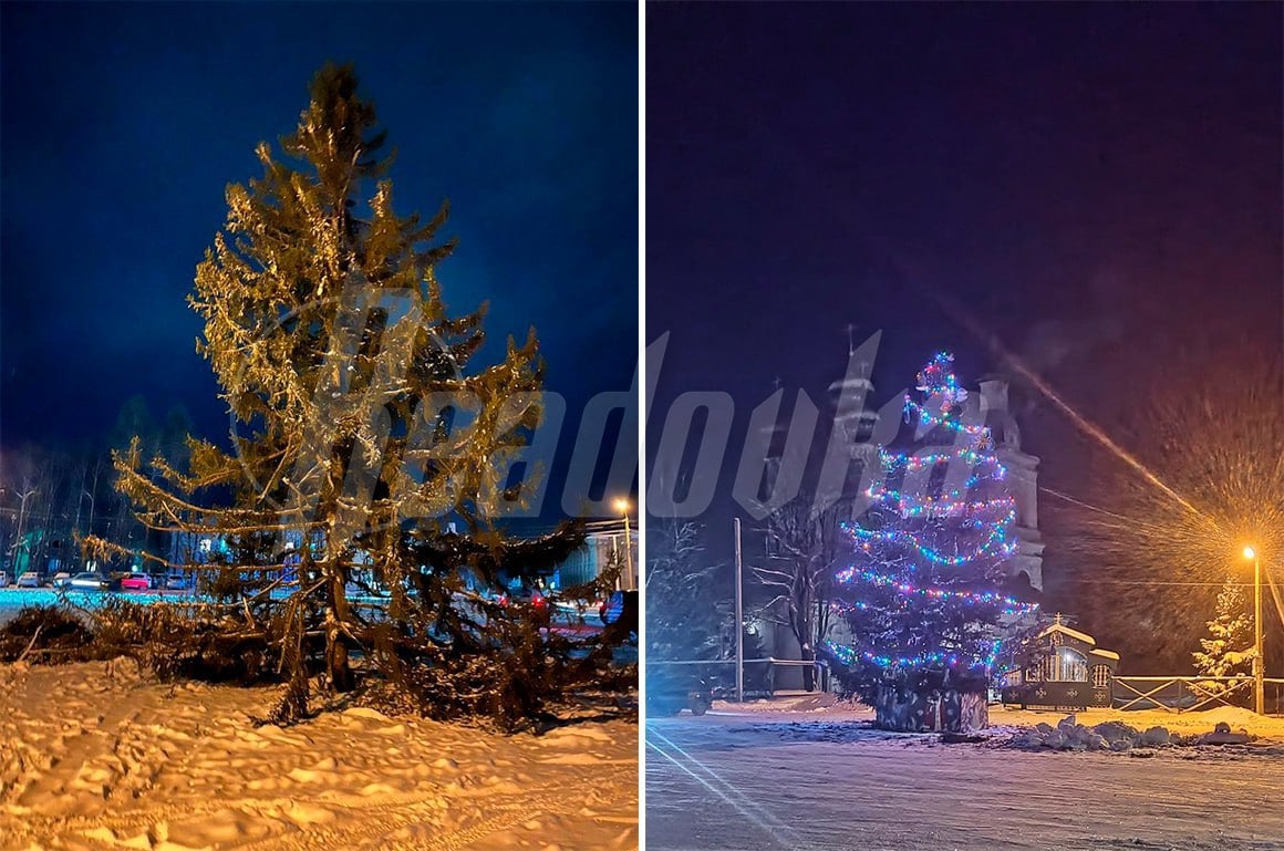 Новогоднее чудо в Костромской области: уродливая елка преобразилась после жалоб жителей  Жители поселка Кадый в Костромской области поделились в соцсетях своей центральной новогодней елочкой. Бедная, с переломанными ветками, должна была стать главной «звездочкой» поселка. Местных такое праздничное дерево не устраивало и даже пугало. Центральная елка, по словам людей, с каждым годом все страшнее и страшнее — такое лысое чудо никого не устраивает, а праздничное настроение только убавляет.  Администрация поселка услышала мольбы жителей и даже согласилась, что зеленая «красавица» выглядит не очень. Перед установкой на центральной площади дерево привели в порядок и украсили. Местные в целом согласились — ситуация стала лучше, особенно вечером, когда на ней загораются огоньки.