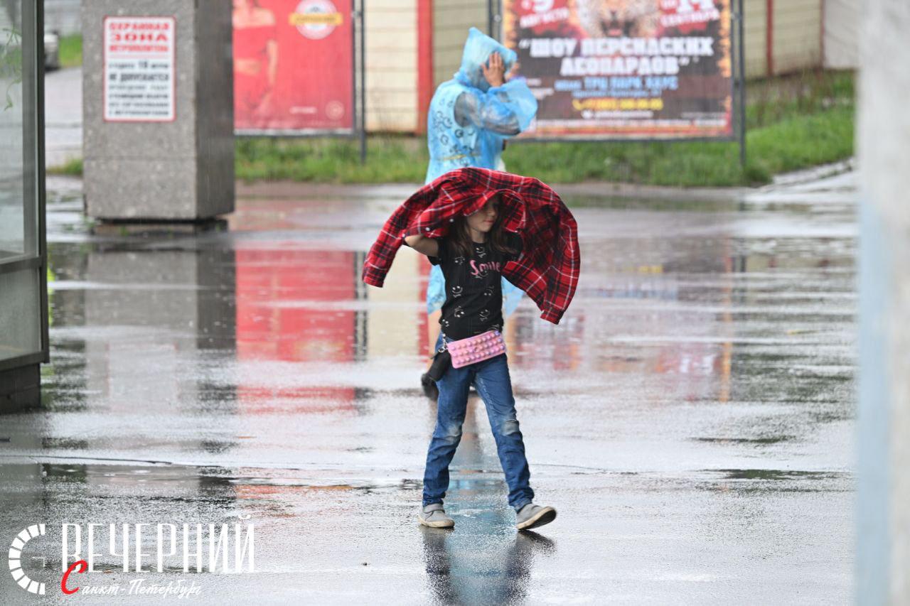Петербуржцы дождались дождя после изнуряющей жары Фото: Александр Гальперин Вечерний Санкт-Петербург