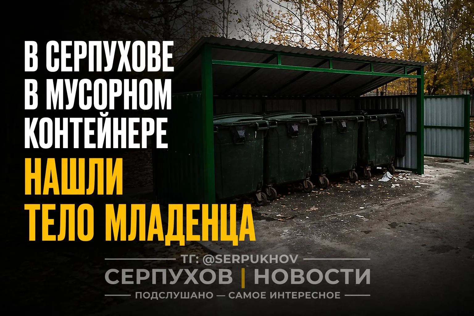 Тело новорождённой девочки обнаружили в мусорном контейнере в посёлке Большевик городского округа Серпухов По предварительной информации страшную находку сделали вечером на улице Ленина Сообщается что тело ребёнка находилось в контейнере несколько часов Точная причина смерти будет установлена по итогам судебно медицинской экспертизы В настоящее время правоохранительные органы проводят проверку и устанавливают все обстоятельства произошедшего Решается вопрос о возбуждении уголовного дела Следите за нами где вам удобно MAX ВК ТГ