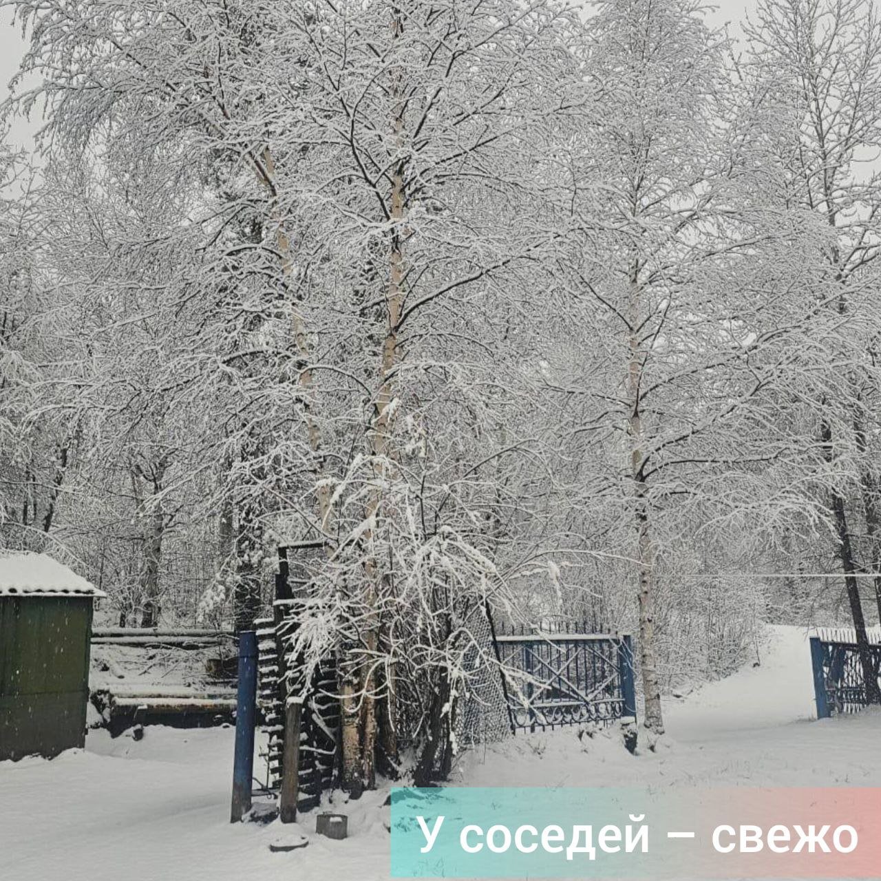 А в Тынде выпал снег. Обычная майская история. Фото "Амур.Инфо". Видео "Амурской правды".