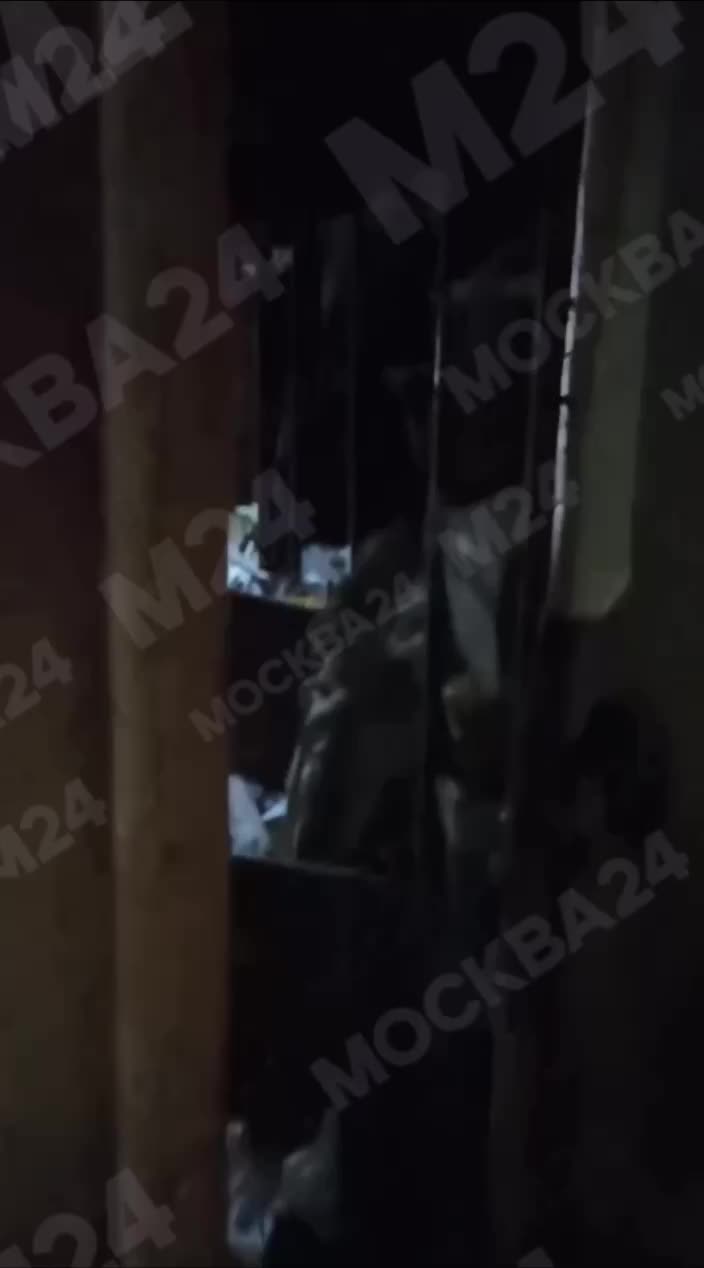 В Ижевске открылся контактный зоопарк, вызывающий обеспокоенность зоозащитников