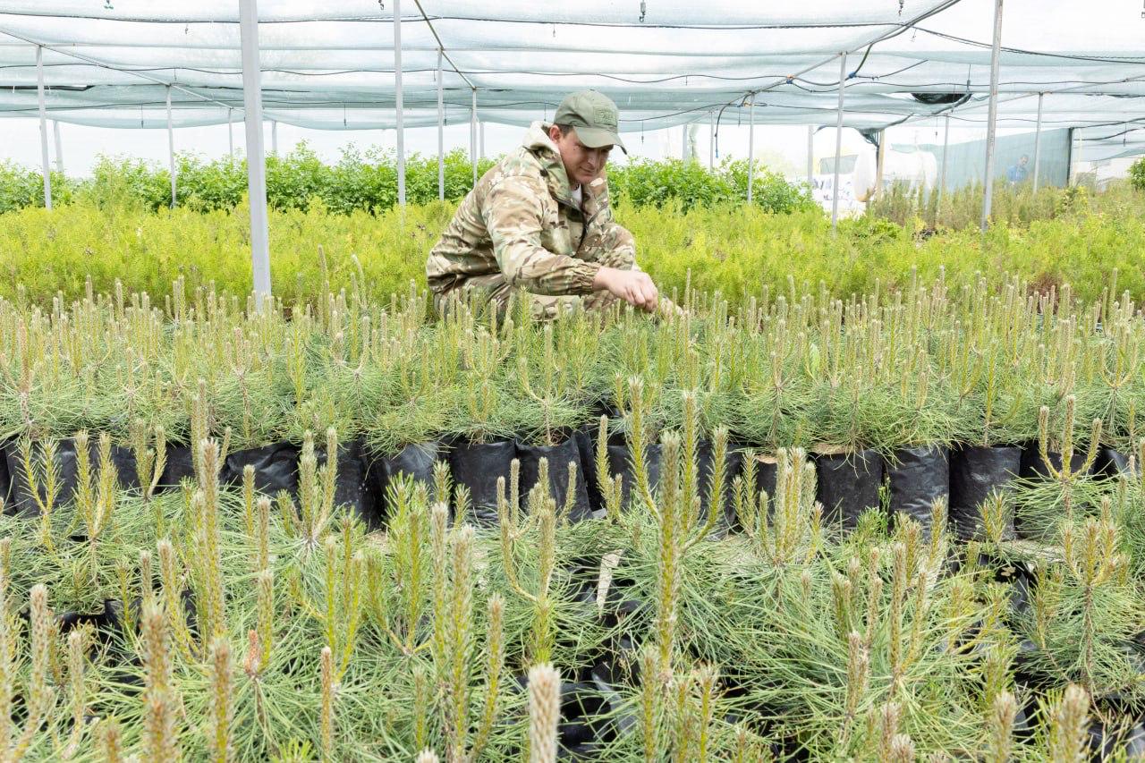 В Крыму около 2,2 млрд рублей потратят в 2025 году на нацпроект «Экология» За счёт этих средств будет продолжено строительство трех экотехнопарков в Белогорском, Ленинском и Сакском районах, сообщил Глава РК Сергей Аксёнов. «Запланированы мероприятия по высадке лесов, расчистке водоемов, профилактике лесных пожаров», – добавил он. Фото: пресс-служба Главы РК Крым 24