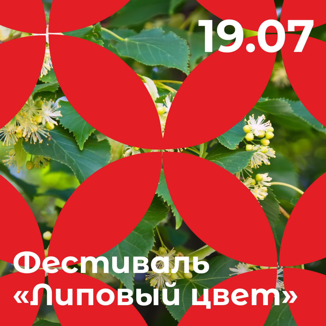 19 июля в Губкине пройдёт летний гастрономический фестиваль «Липовый цвет». Территория лесопляжа будет разбита на несколько интерактивных локаций с зонами для пикника, фастфуда и гриля. На отдельной площадке заработает ярмарка мёда, чая и сувенирной продукции. Для детей и взрослых организаторы фестиваля подготовили много активностей, среди которых – кулинарные мастерские по приготовлению варенья, десертов и заваривания традиционного липового чая. Культурный регион Белгород