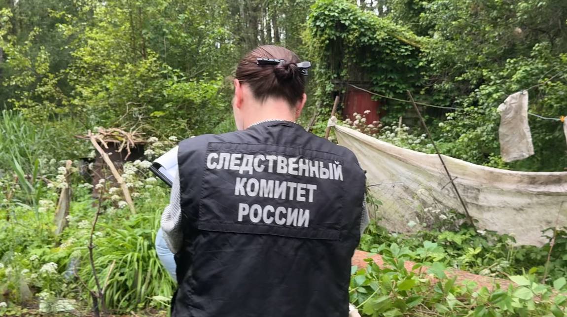 В Пскове проводится проверка по сообщению о гибели женщины от упавшего дерева   В правоохранительные органы поступило сообщение об обнаружении тела 66-летней женщины под поваленным деревом на территории дачного участка.  По предварительной информации дерево, растущее в лесополосе на территории города Пскова упало на находившуюся на прилегающем дачном участке женщину. В результате полученных повреждений пострадавшая скончалась на месте происшествия.   В настоящее время назначена медицинская судебная экспертизы, проводятся проверочные мероприятия, направленные на установление всех обстоятельств произошедшего. По результатам проверки будет принято процессуальное решение.