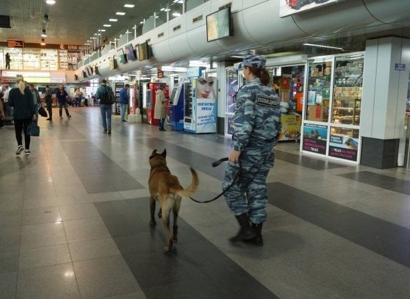 Служебная собака обнаружила наркотики у одного из пассажиров в аэропорту Иркутска Правоохранители задержали 30-летнего мужчину, который пытался провезти запрещенное вещество    Читать подробнее на сайте...