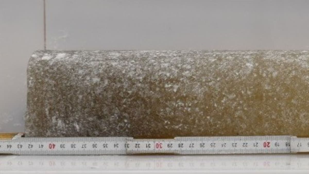 Лёд возрастом 6 млн лет Учёные из Центра изучения древнейшего льда COLDEX США обнаружили в восточной части Антарктиды в районе Холмов Аллана образец льда возраст которого напрямую датируется шестью миллионами лет Это старейший лёд из тех что были напрямую датированы Он содержит крошечные пузырьки воздуха позволяющие заглянуть в климатическое прошлое планеты Древний лёд сформировался в геологическую эпоху с более тёплыми условиями и высоким уровнем моря Прямое датирование стало возможным благодаря измерению изотопов благородного газа аргона в воздухе запечатанных во льду Анализ изотопов кислорода показал что за последние 6 миллионов лет район Холмов Аллана постепенно охлаждался примерно на 12 градусов Цельсия