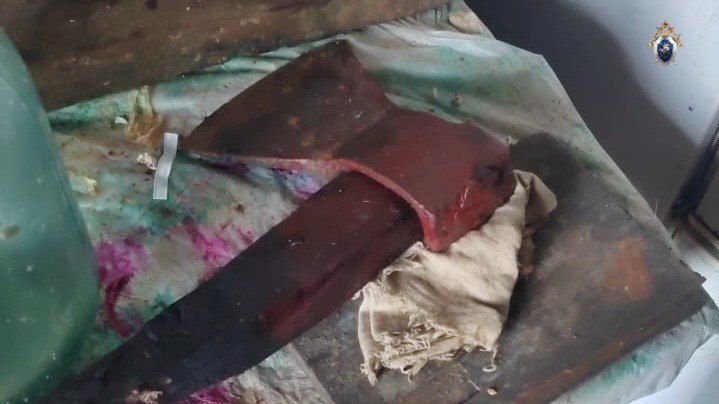 Комсомольчанин убил сожителя матери топором Во время очередного застолья у мужчины случился конфликт с сожителем матери В ходе ссоры агрессор схватил топор и ударил им по голове оппонента а после когда мать попыталась остановить драку ударил по голове и ее Женщина благодаря медикам осталась жива а ее сожитель скончался прямо на месте происшествия Уголовное дело направлено в суд В отношении обвиняемого избрана мера пресечения в виде заключения под стражу   Будь в курсе событий везде ОК VK MAX