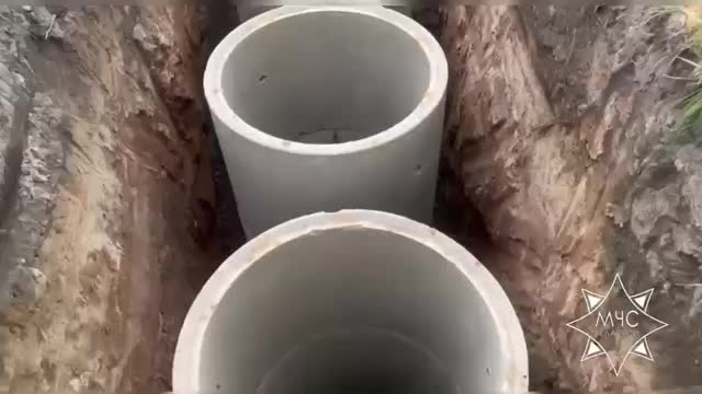 Спасение собак из колодцев в Минской области