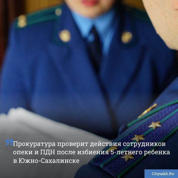 Прокуратура Южно Сахалинска подключилась к разбирательству по факту избиения пятилетней девочки Надзорное ведомство даст оценку работе органов опеки ПДН и других ведомств которые отвечают за профилактику правонарушений и безнадзорности несовершеннолетних citysakh ru news 124964 Новости в MAX max ru citysakh только важное не тормозит купим ваши новости 79147662000